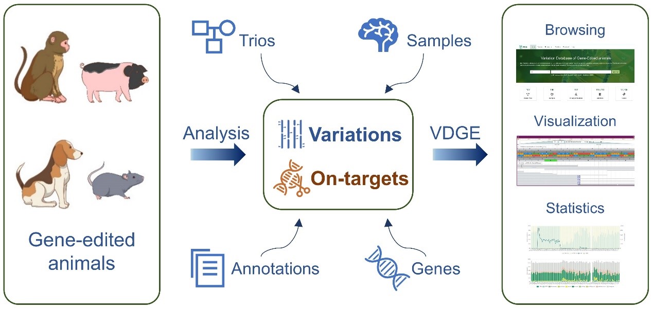 BG视讯·大游(集团)官方网站