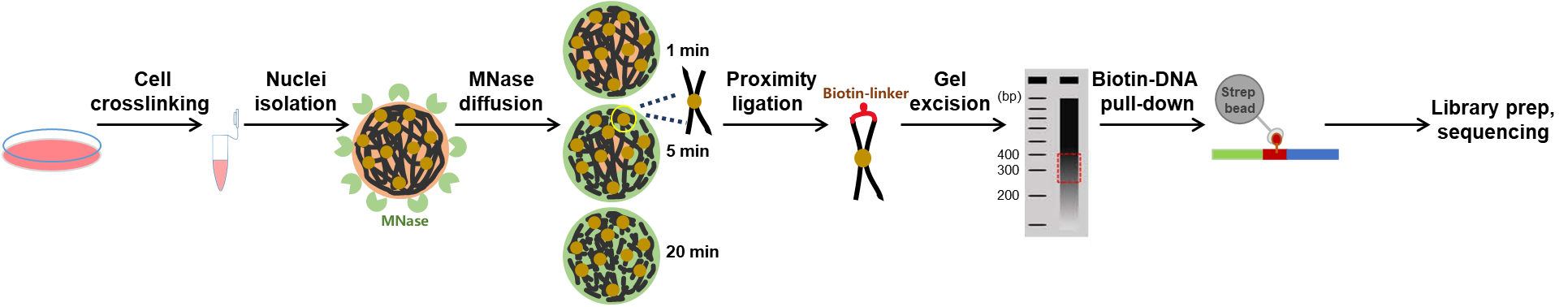 BG视讯·大游(集团)官方网站