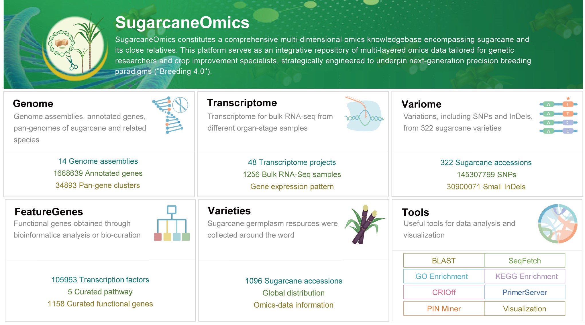 BG视讯·大游(集团)官方网站