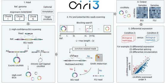 BG视讯·大游(集团)官方网站