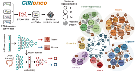 BG视讯·大游(集团)官方网站