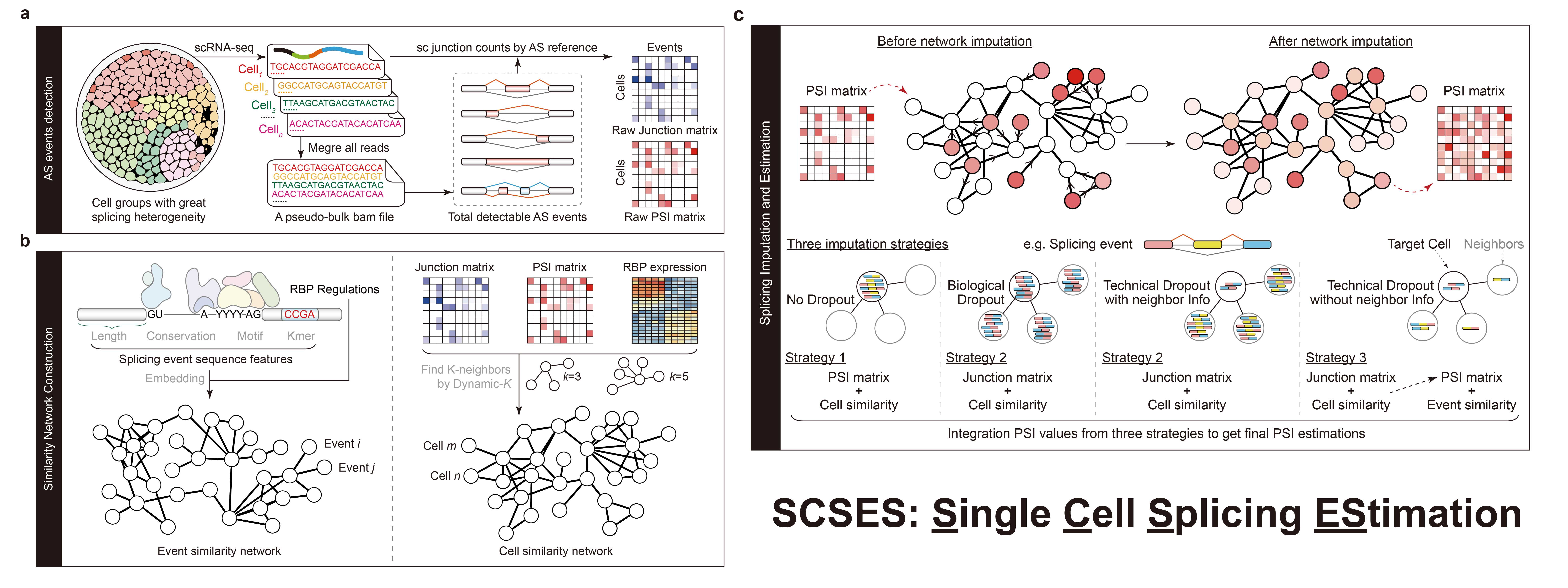 BG视讯·大游(集团)官方网站