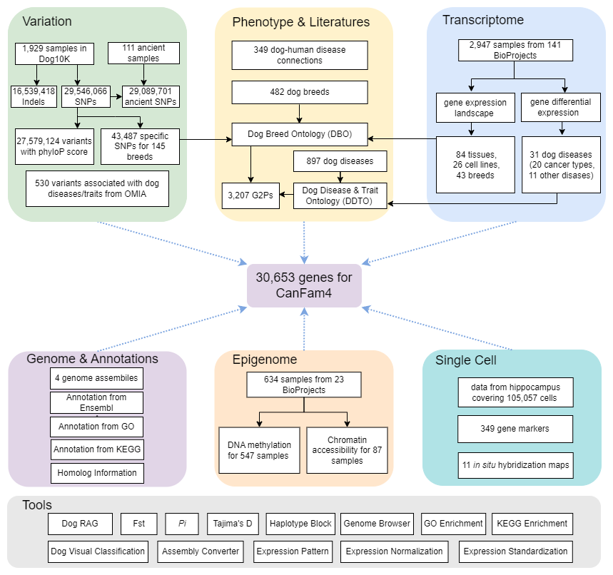 BG视讯·大游(集团)官方网站