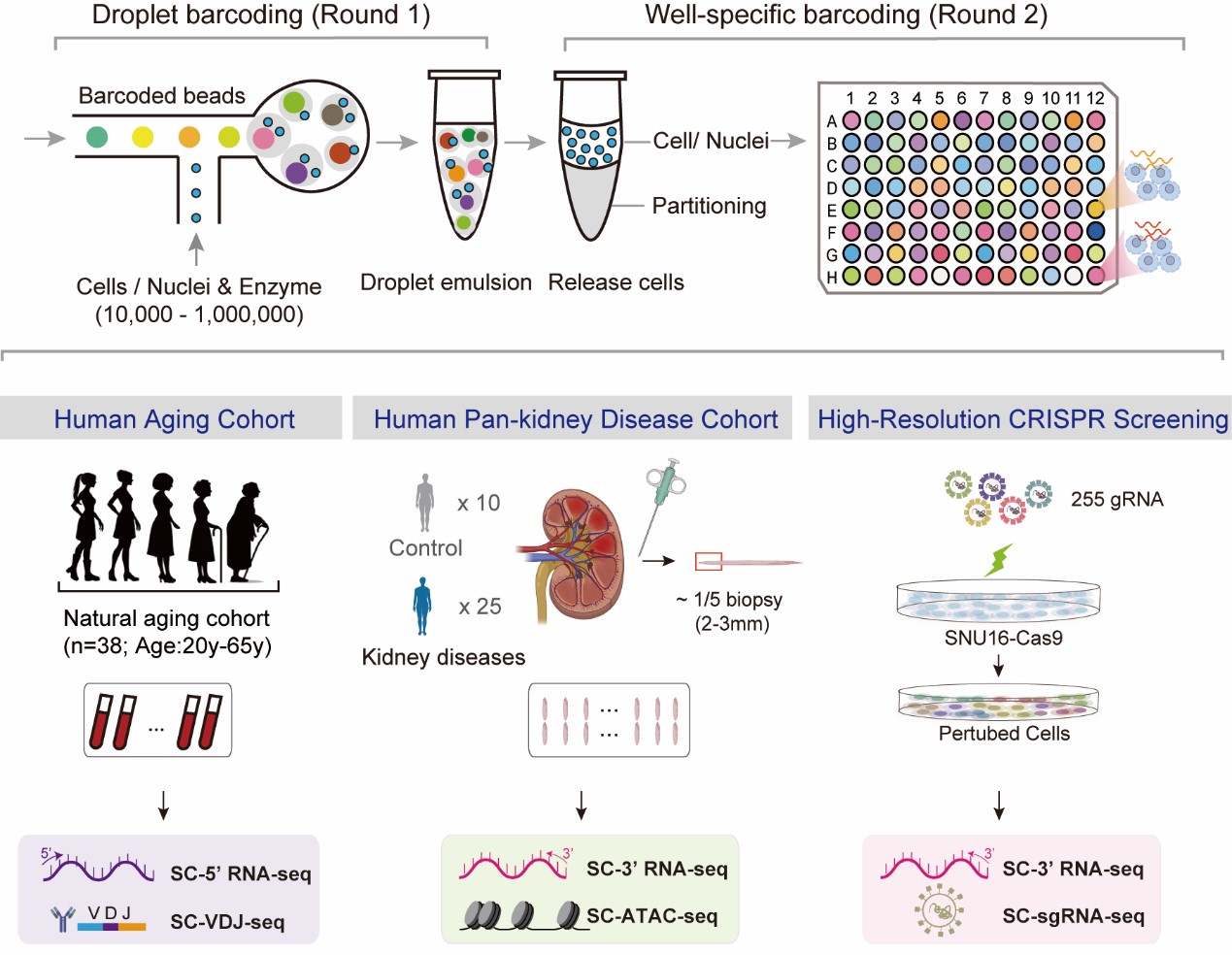 BG视讯·大游(集团)官方网站